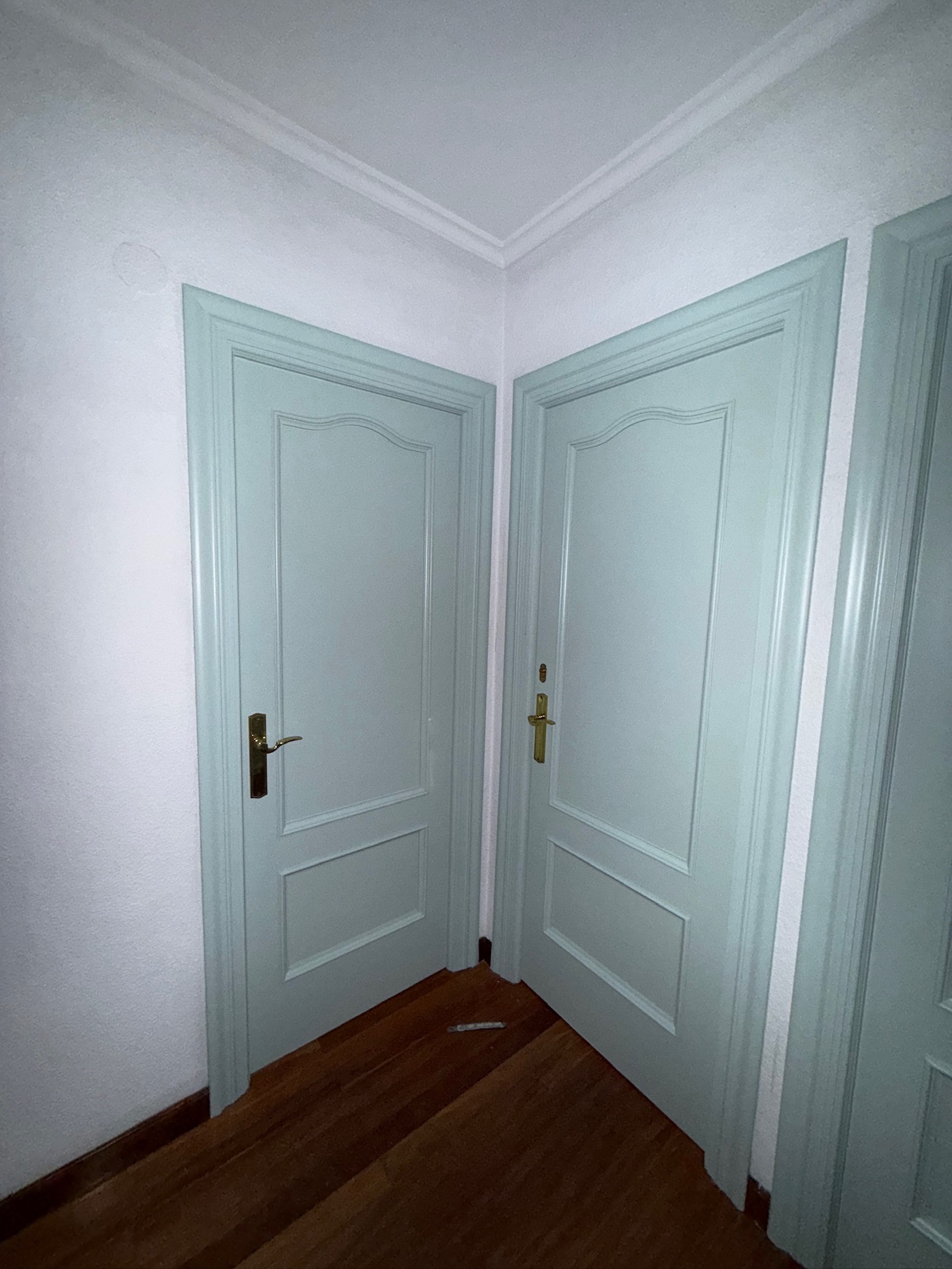 Puertas interiores con molduras en un tono suave de verde